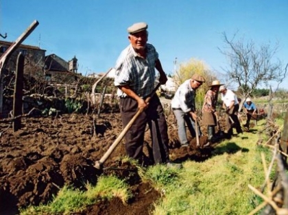 Baldio de Merufe: PCP quer clarificar "ambiguidade" da gestão atual