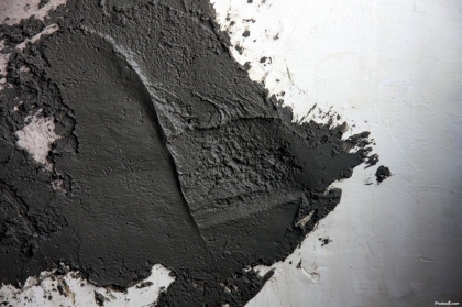 Associação Protetora de Animais promove campanha para concluir habitação de família carenciada