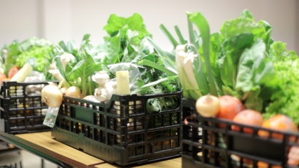 “Prove”: Produtoras podem agora entregar cabazes em casa e no trabalho