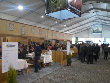 Festa do Alvarinho ultrapassou os 50 mil visitantes