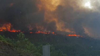Paredes de Coura/Rubiães: Incêndio 'com mais de 20 quilómetros de frente'