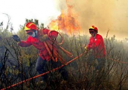 15.288 hectares arderam este ano