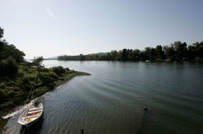 Lampreia mobiliza 450 pescadores do Minho até abril