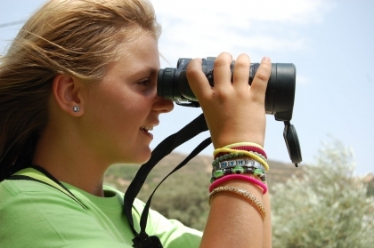 Caminha: Abertas candidaturas para constituição da Equipa Municipal de Proteção Florestal