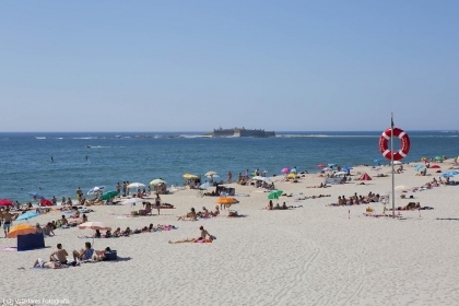 Caminha: Praias de Moledo e Foz do Minho acolhem atividade sobre 'Flora Dunar' este sábado