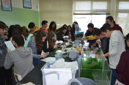 Viana: Mais de 600 alunos participaram na Semana da Ciência e Tecnologia